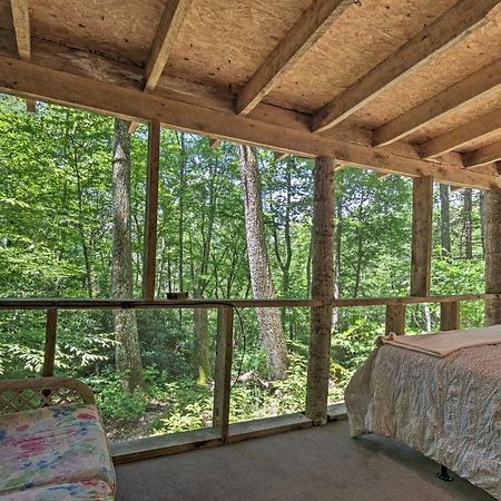 Creekside Cabin With Deck In Pisgah Forest! Barnardsville Eksteriør billede