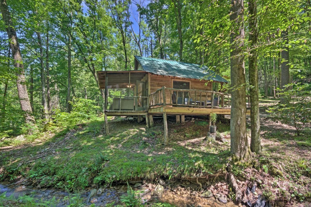 Creekside Cabin With Deck In Pisgah Forest! Barnardsville Eksteriør billede