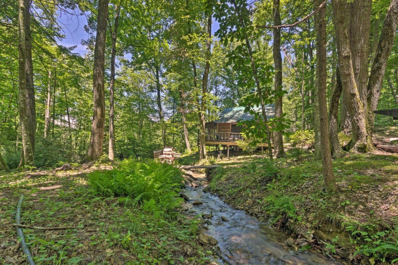Creekside Cabin With Deck In Pisgah Forest! Barnardsville Eksteriør billede