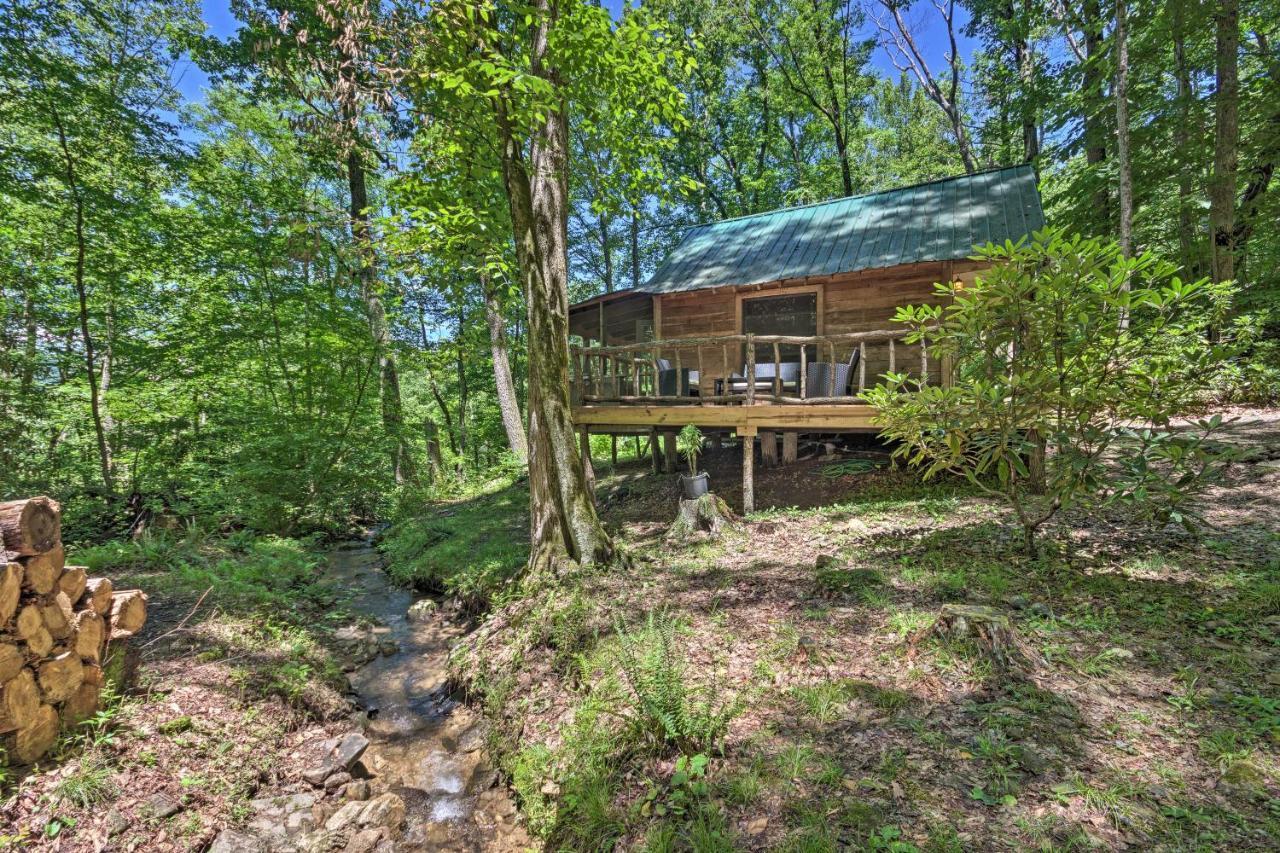 Creekside Cabin With Deck In Pisgah Forest! Barnardsville Eksteriør billede