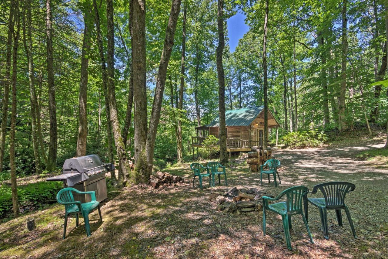 Creekside Cabin With Deck In Pisgah Forest! Barnardsville Eksteriør billede