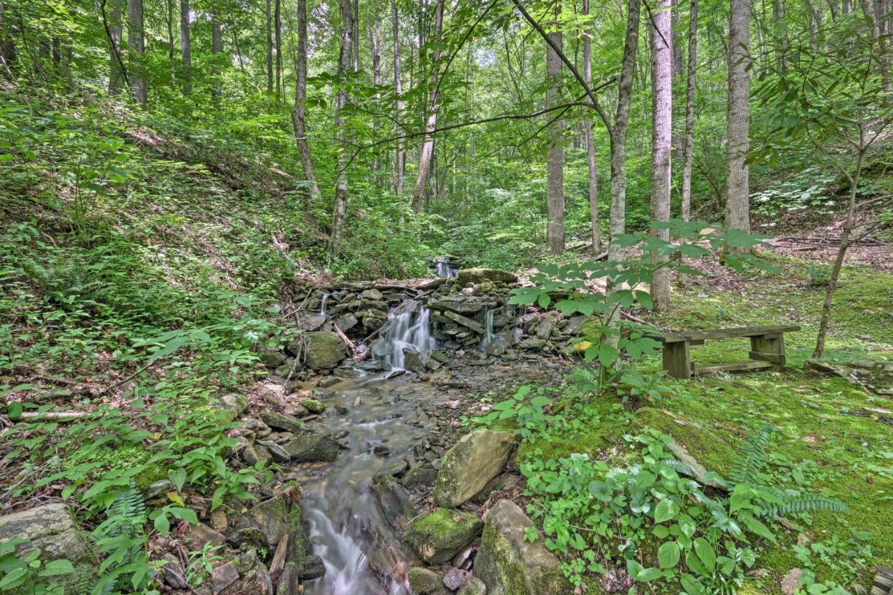 Creekside Cabin With Deck In Pisgah Forest! Barnardsville Eksteriør billede